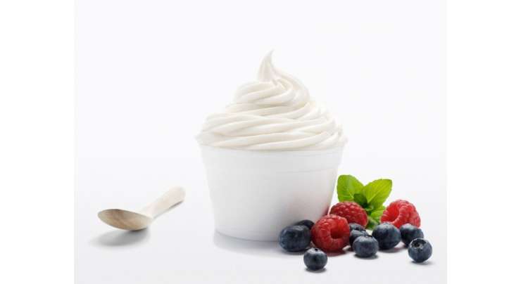 Italian Style Frozen Yogurt Recipe In Urdu