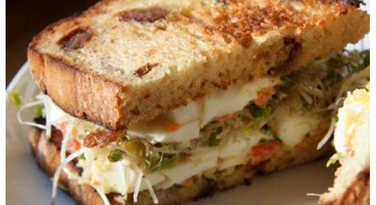 Paneer Sandwich Recipe In Urdu