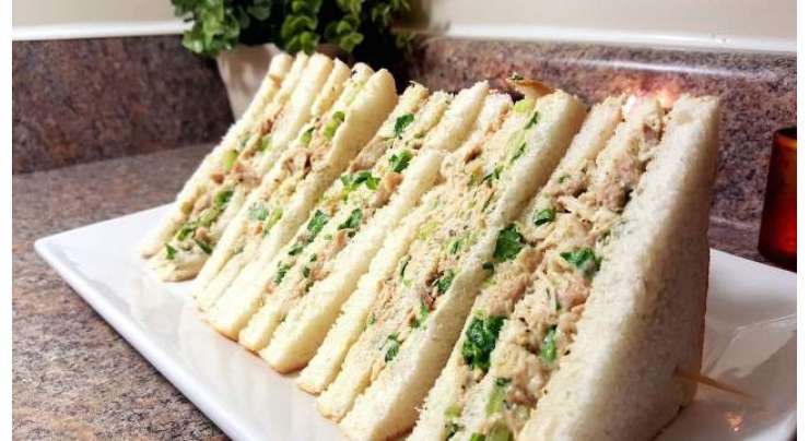 Malai Boti Sandwich Recipe In Urdu