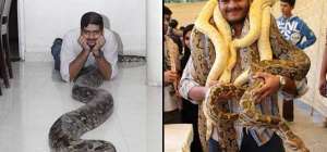 Karachi brothers having pythons as pet