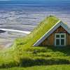 Scandinavian Houses With Green Roofs