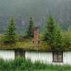 Scandinavian Houses With Green Roofs
