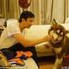 Dog of son of world's richest chinese