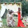 BEAR witness Russian couple ceremony