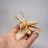 Artist Creates Insects From Bamboo