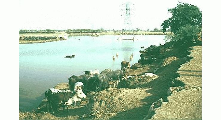 Ravi River Main MooT Ki Bastiyaaan