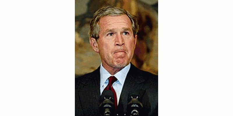 Bush VS Nepolian Bonapart