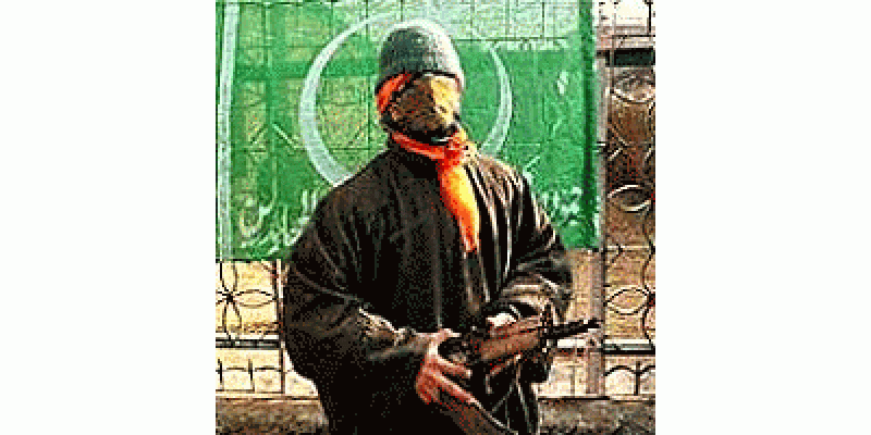 Kiya Kashmiri Mujahideen DehshaatGard Hain
