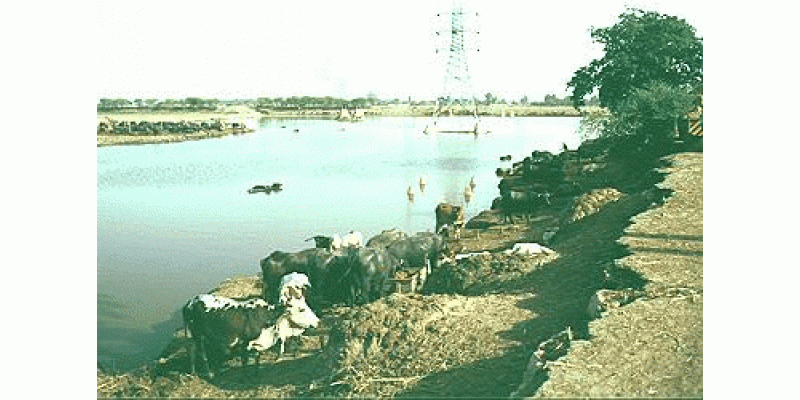 Ravi River Main MooT Ki Bastiyaaan