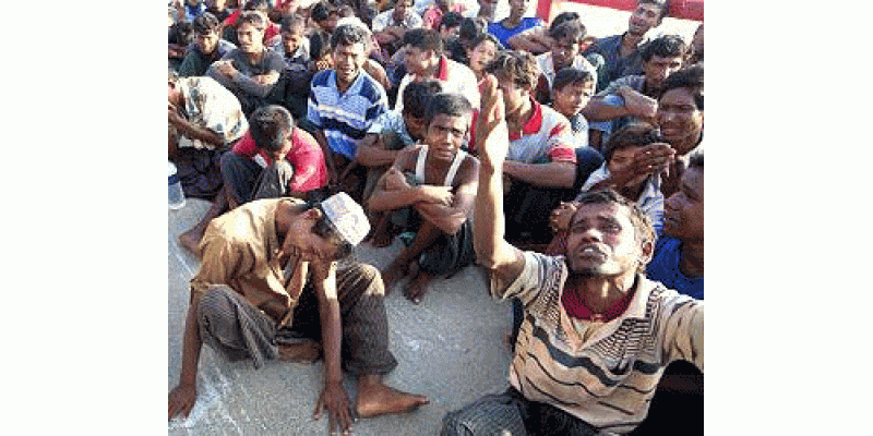 Rohingya Musalmaan Kahan Jaayeen