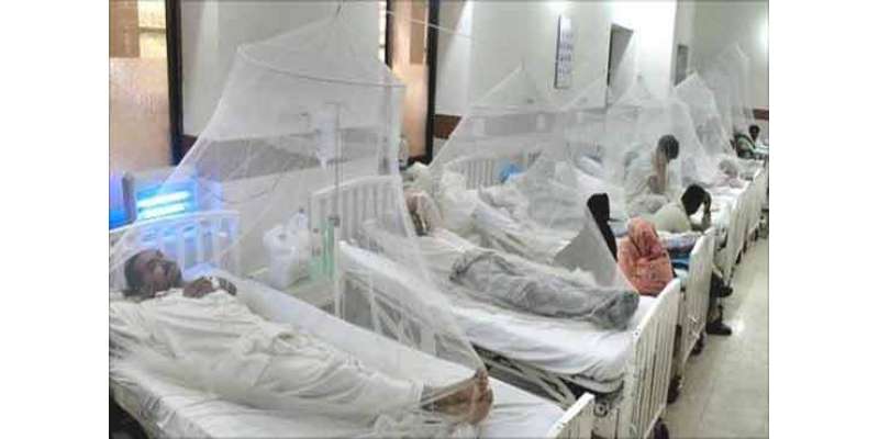 Dengue Machar Se Punjab Mutasir Hua
