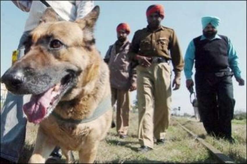 پانی پت،بھارتی پولیس اہلکار سراغ رساں کتوں کے ہمراہ بم دھماکہ ..