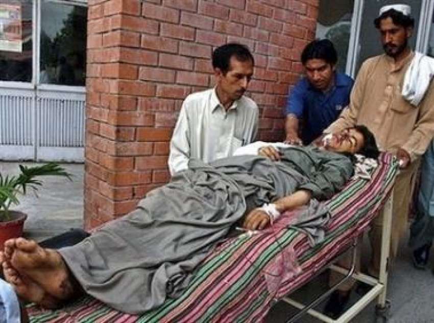 پشاور، مہمند ایجنسی میں اتحادی افواج کی جارحیت کا نشانہ ..