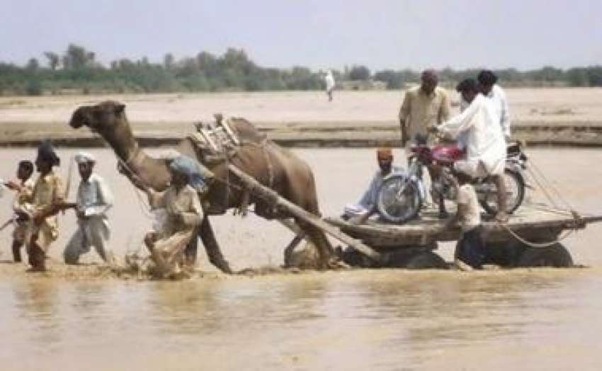 دیڑہ غازی خان، تونسہ میں سیلابی ریلے کے باعث سیلاب زدگان ..