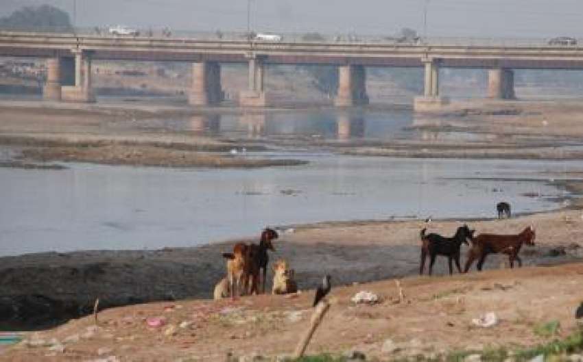 لاہور، دریائے راوی پانی خشک ہونے کے بعد جوہر کا منظر پیش ..