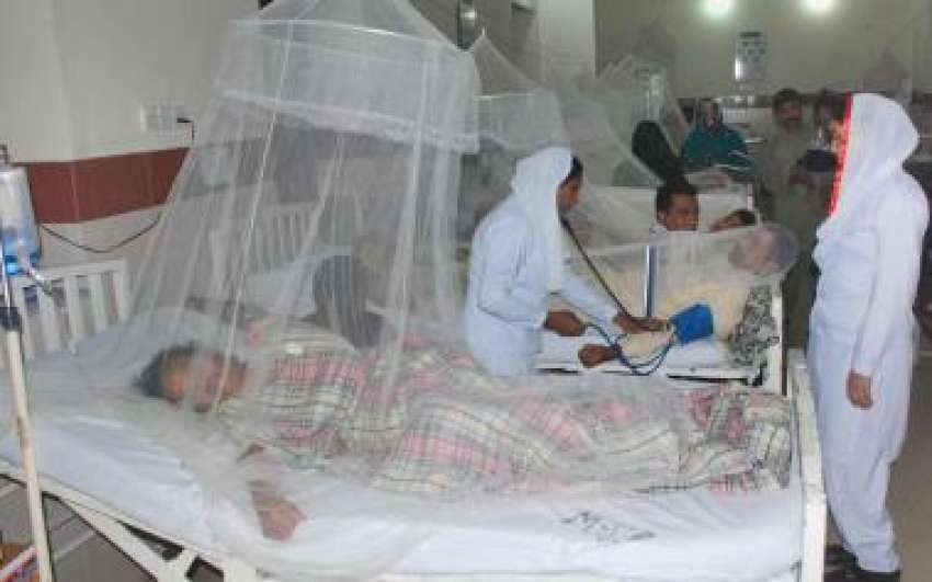 لاہور،سروسز ہسپتال میں ڈینگی بخار میں مبتلا مریض زیر علاج ..