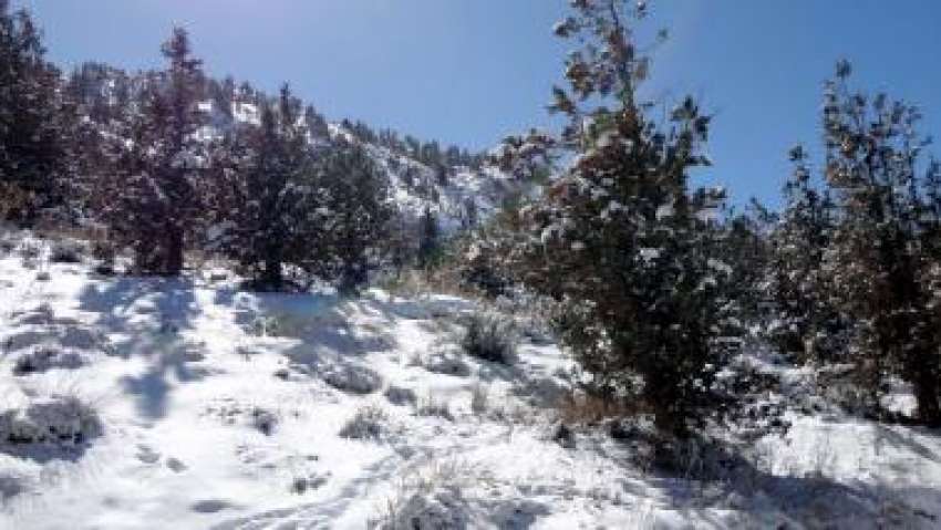 زیارت، پہاڑیاں‌برفباری کے بعد خوبصورت منظر پیش کر رہی ہیں۔