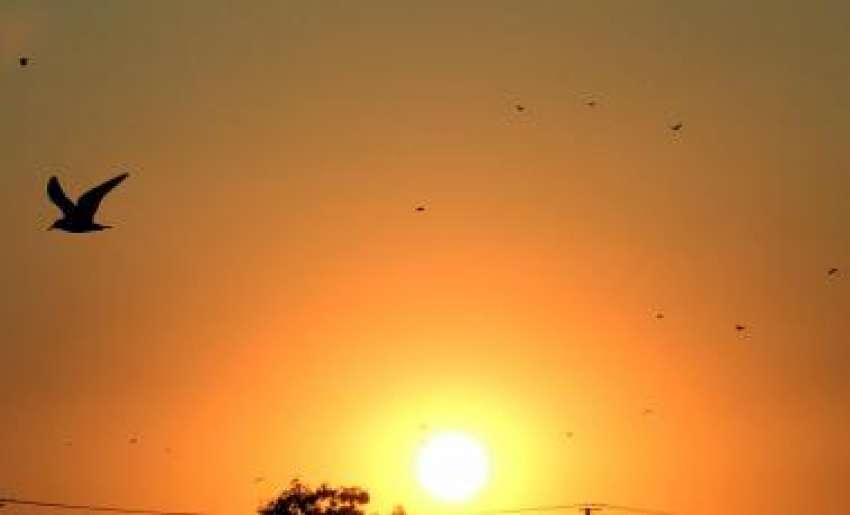 راولپنڈی، 2012کا آخری سورج غروب ہو رہا ہے۔