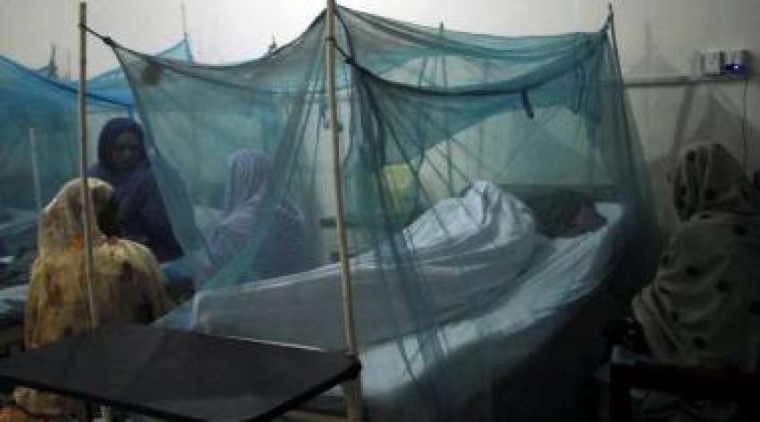 راولپنڈی، ڈینگی سے متاثرہ مریض مقامی سرکاری ہسپتال میں ..