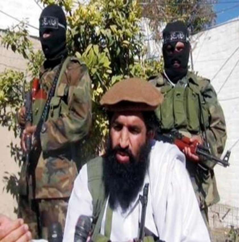 نجی ٹی وی سے حاصل کردہ تصویر میں کالعدم تحریک طالبان پاکستان ..