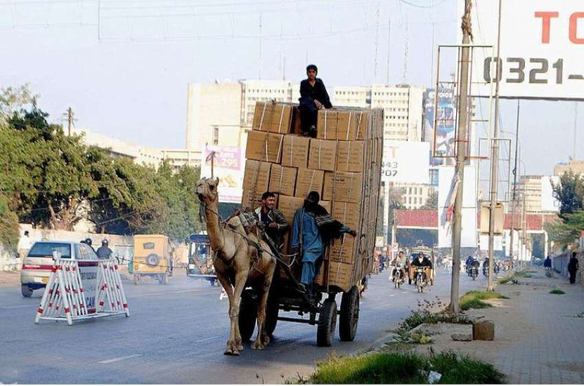 کراچی: آئی آئی چند ریگر روڈ پر ساربان اونٹ پر بھاری بھرکم ..