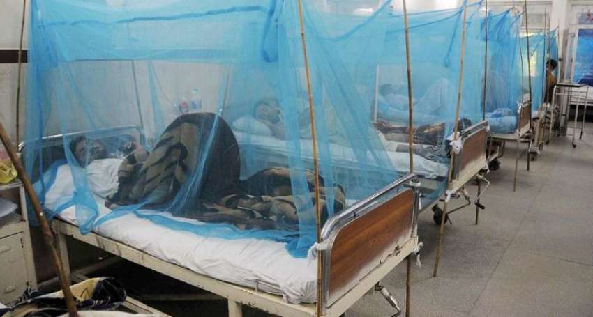 راولپنڈی، ڈی ایچ کیو ہسپتال میں ڈینگی مریض زیر علاج ہیں۔