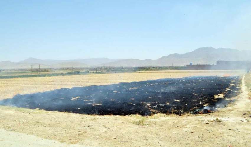 کوئٹہ: خیزی چوک کے قریب ایک باغ میں آگ لگنے سے فصل کی تباہی ..
