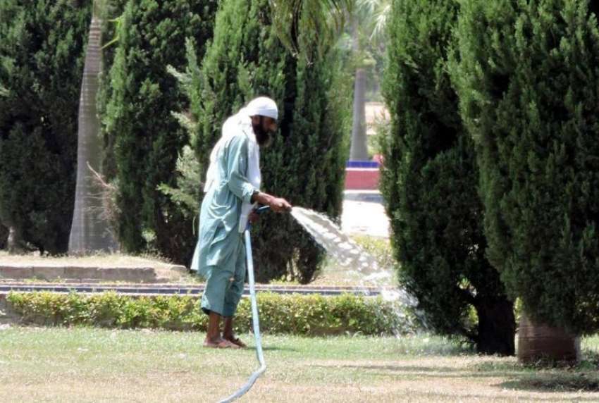 لاہور: باغ جناح میں مالی پودوں کو پانی لگا رہا ہے۔