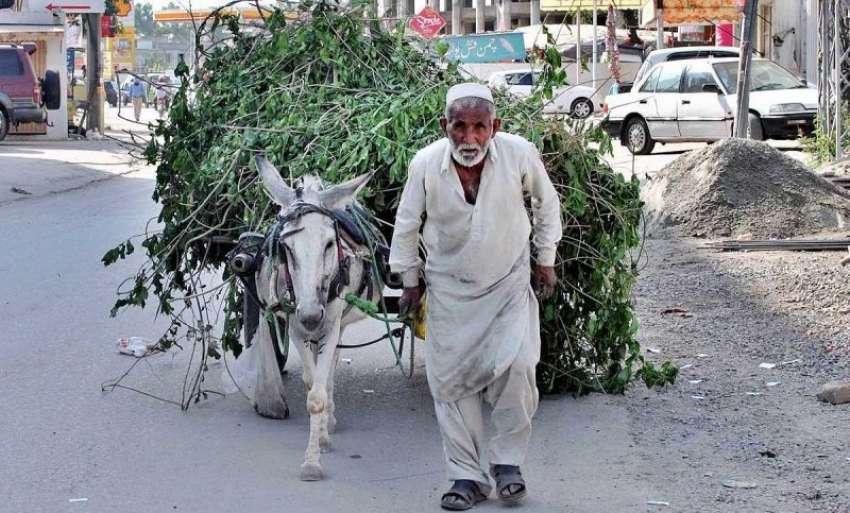 راولپنڈی: رمضان المبارک کی آمد ایک بزرگ شہری گھر کا چولہا ..