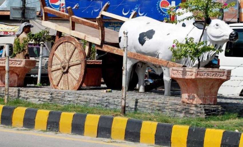 راولپنڈی: مریڑ حسن میں انتظامیہ کی طرف لگائے گئے بیل گاڑی ..