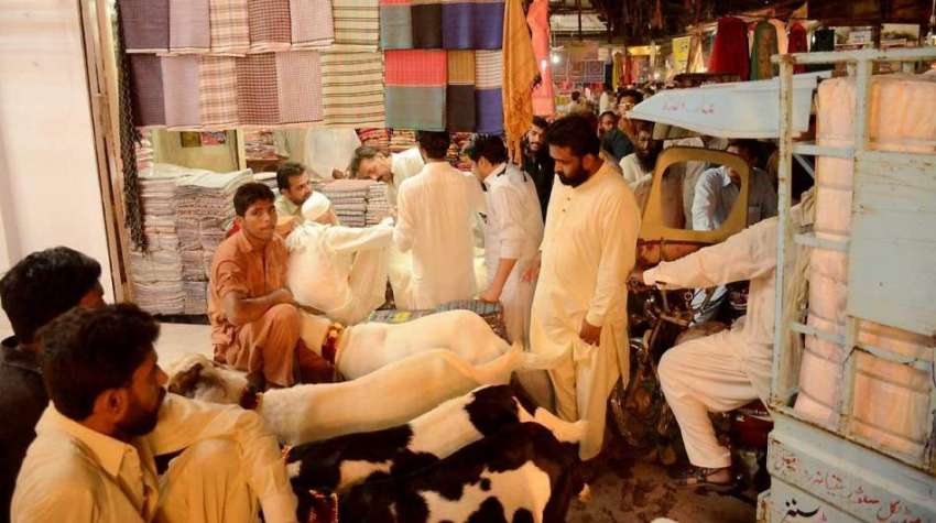 فیصل آباد: بپاری مہنگے داموں قربانی کے جانور فروخت کرنے ..
