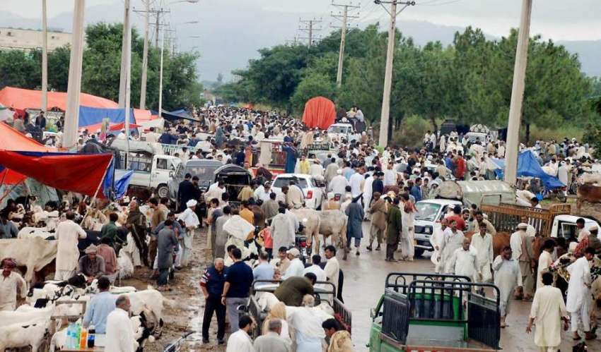 اسلام آباد: ایف الیون کی منڈی میں لوگوں کے رش کا منظر۔