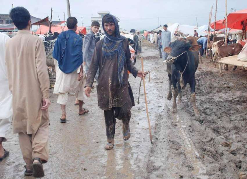 اسلام آباد: بارش کے بعد وفاقی دارالحکومت میں لگائی گئی منڈی ..