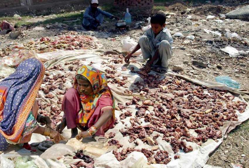 حیدر آباد: خانہ بدوش خواتین قربانی کا گوشت سکھانے کے لیے ..