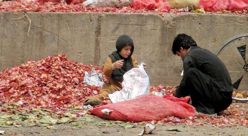 اسلام آباد: سبزی فروٹ منڈی میں ایک افغان بچی پیاز کے چھلکوں ..