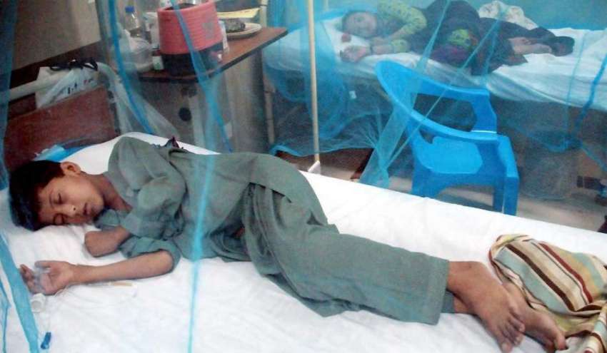 راولپنڈی: ہولی فیملی ہسپتال میں ڈینگی کے مریض زیر علاج ہیں۔