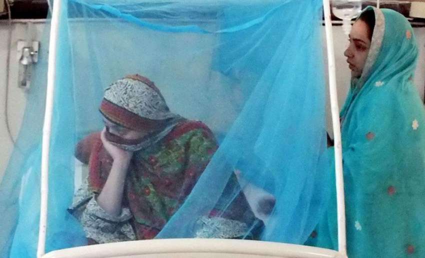 راولپنڈی: ہولی فیملی ہسپتال میں ڈینگی کی ایک مریضہ مناسب ..