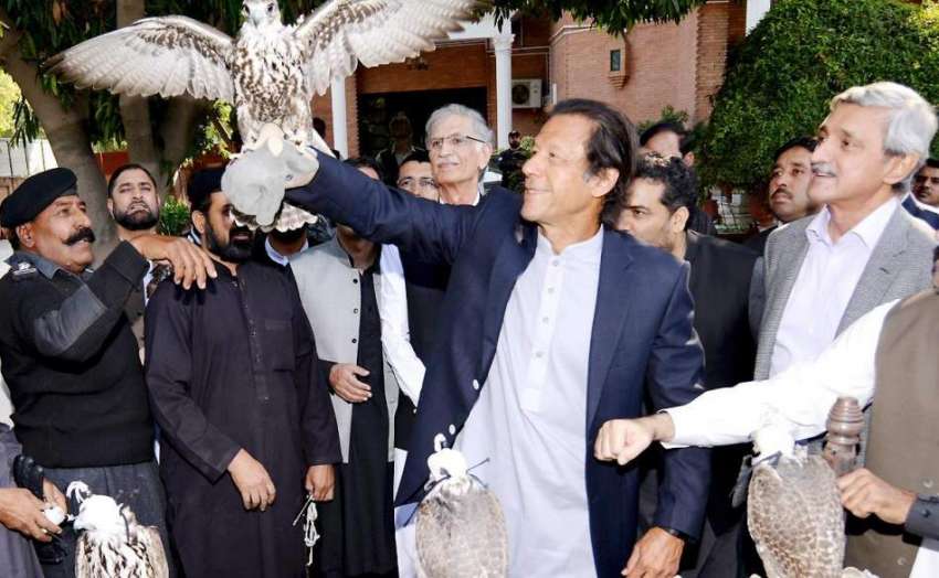 پشاور: چیئرمین پاکستان تحریک انصاف عمران خان سمگلنگ کی ناکام ..