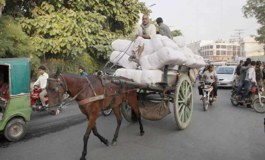 لاہور: محنت کش تانگہ ریڑھے پر بھاری سامان رکھے شملہ پہاڑی ..