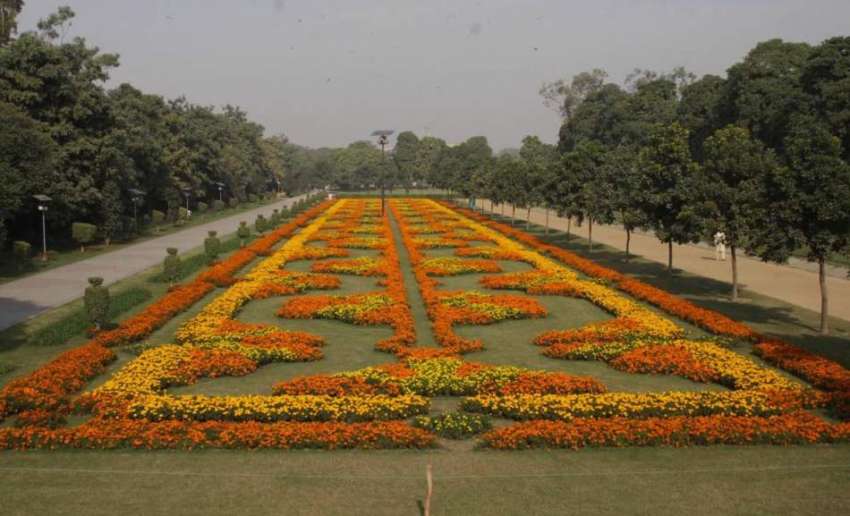 لاہور: پی ایچ اے کی جانب سے جیلانی پارک میں تیار کیے گئے فلاور ..