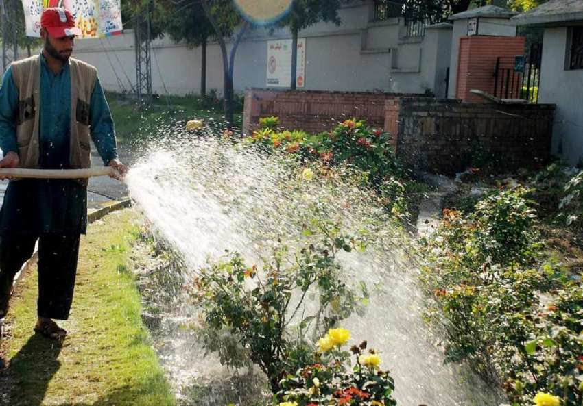 راولپنڈی: ٹی ایم اے اہلکار مری روڈ پر پھولوں کا پانی لگا ..