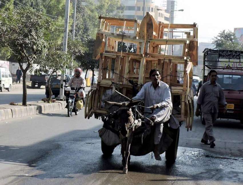 لاہور: ایک محنت کش گدھا ریڑھی پر لکڑی کا سامان رکھے ایبٹ ..