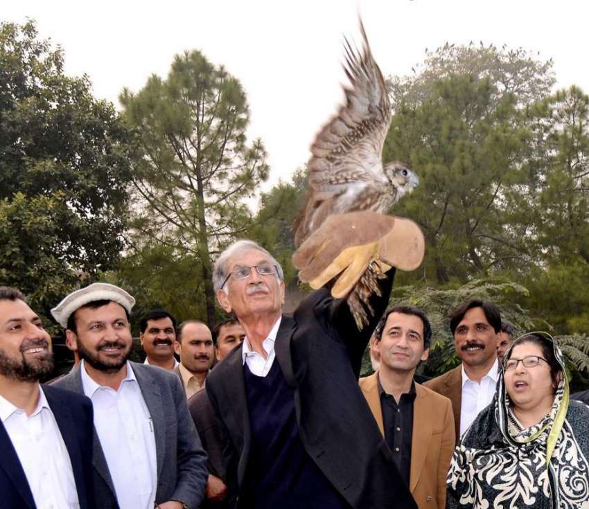 پشاور: وزیر اعلیٰ خیبر پختونخوا پرویز خٹک انٹی سمگلنگ کاروائی ..
