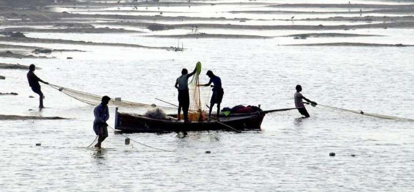حیدر آباد: جامشورو کراچی نہر میں مچھیرے مچھلیاں پکڑنے کے ..