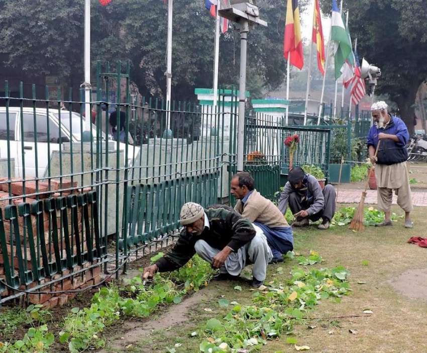 لاہور: ٹاؤن ہال کے ملازم پھولوں کی کیاری کو صاف کر رہے ہیں۔