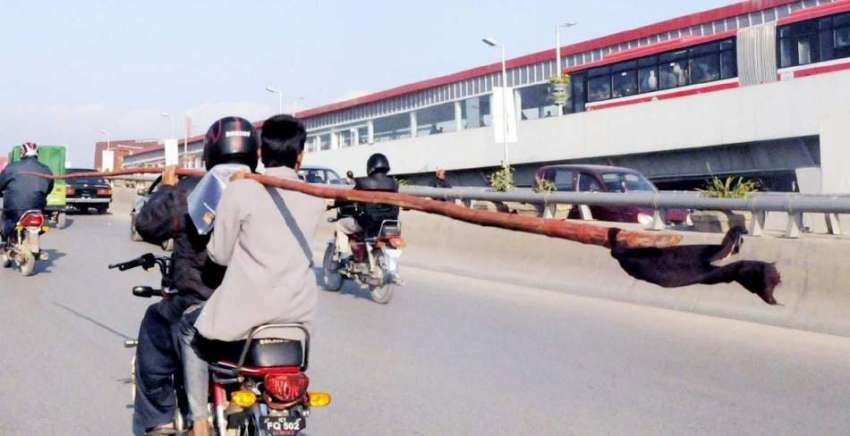 راولپنڈی: روڈ کے درمیان موٹر سائیکل سوار خطرناک انداز میں ..