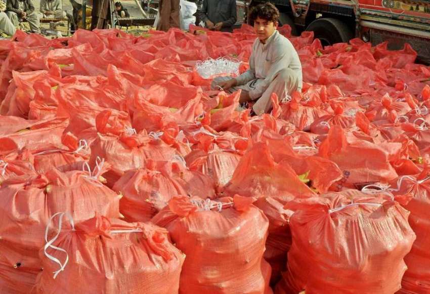 راولپنڈی: ایک محنت کش چھلیاں تھیلوں میں پیک کر رہا ہے۔