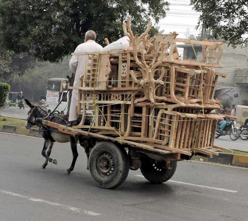 لاہور: ایک محنت کش گدھا ریڑھی پر سامان رکھے ایجرٹن روڈ سے ..