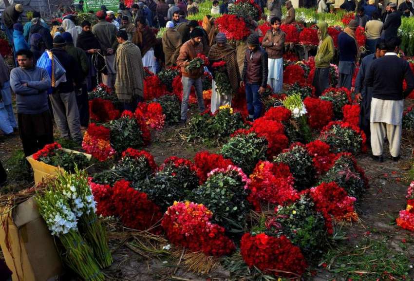لاہور: ویلنٹائن ڈے کے موقع پر بیوپاری منڈی میں پھول خرید ..