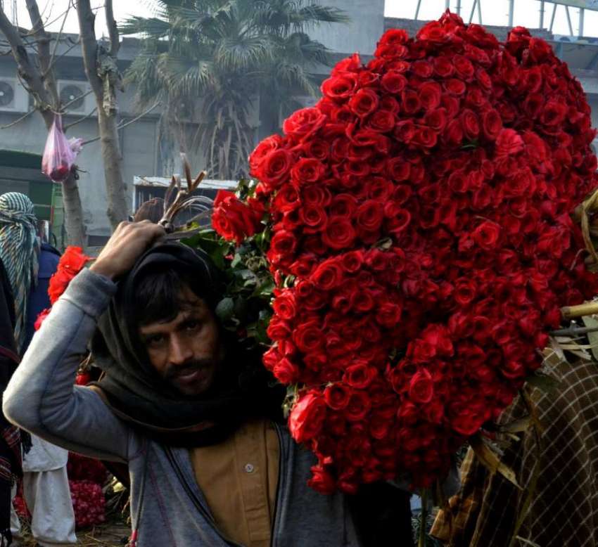 لاہور: ویلنٹائن ڈے کے موقع پر بیوپاری منڈی میں پھول خرید ..